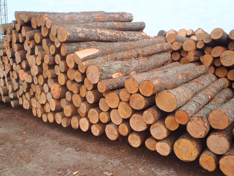 Sawmill - Romania’s Supplier of Harwoods Softwoods & Wood Pellets